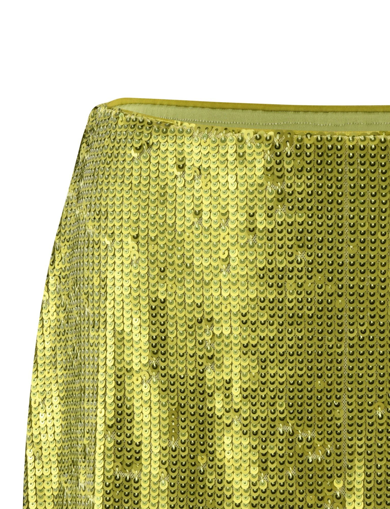 TM15887-GREENSEQUIN-KAYESKIRT-DETAILSAPPROVED.jpg